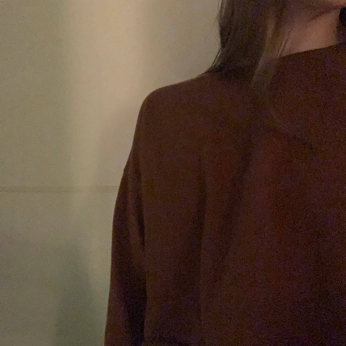 Brun Sweatshirt  - 91