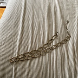 Silvrigt skärp  - Silvrigt skärp 