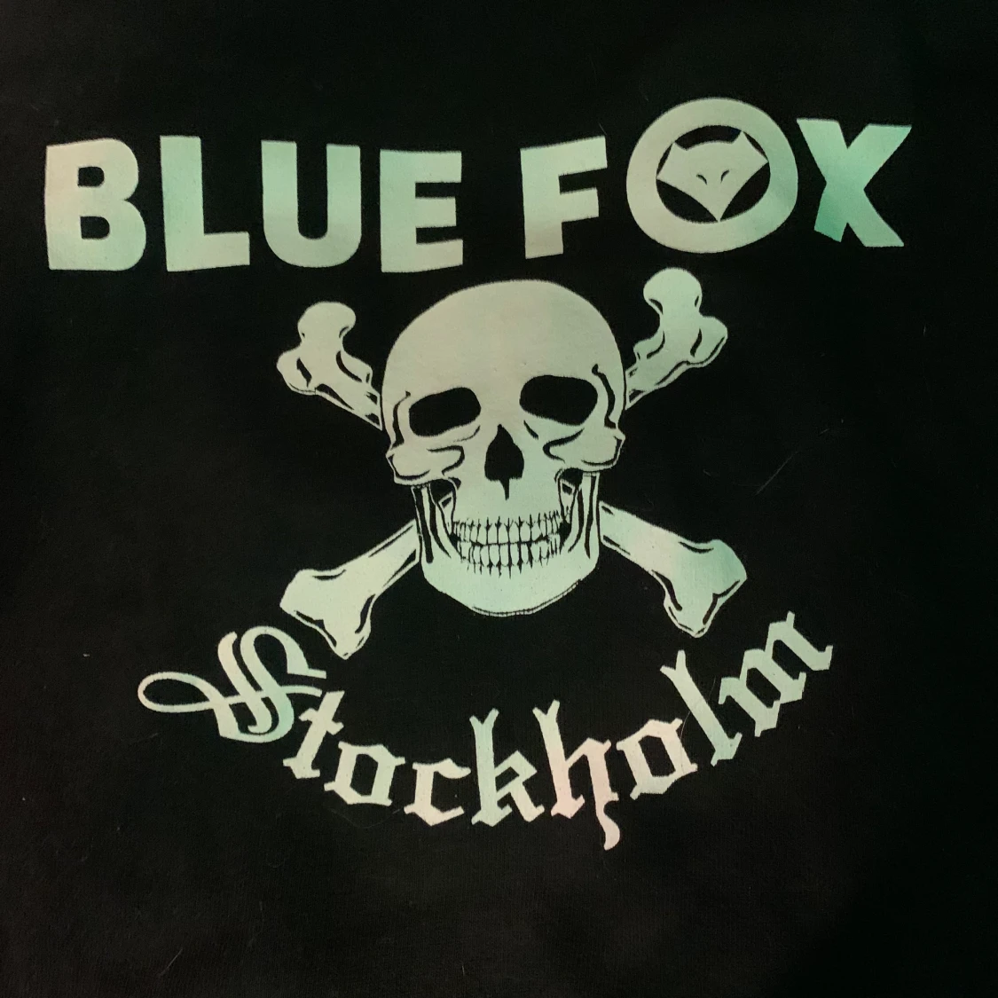 Bluefox hoodie  - 91