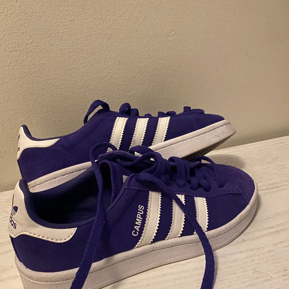 Säljer mina helt oanvända adidas skor, Campus modellen. Ny pris: 699kr . Skor.