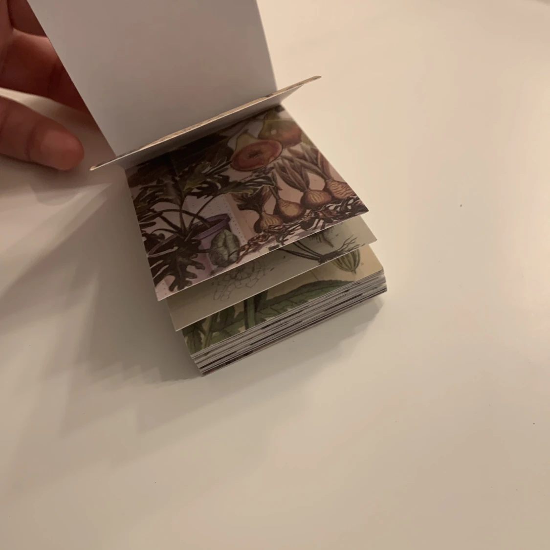 Naturinpirerade motiv - 91