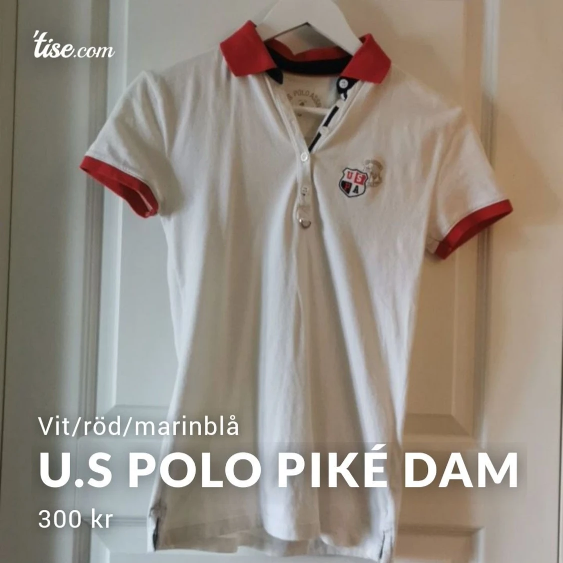 U.S Polo dampiké 