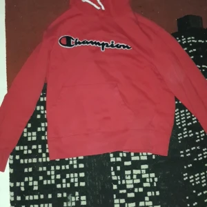 Champion hoodie - Storlek M/L inga hål eller fläckar. Köpt mellan 600-700kr tror jag