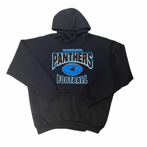 Carolina Panthers collegetröja  - Vintage collegetröja i bra skick med riktigt snyggt tryck! Prutbar 