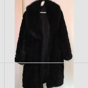 PälsJacka - Säljer den här jackan för 200 kr i storlek M. 