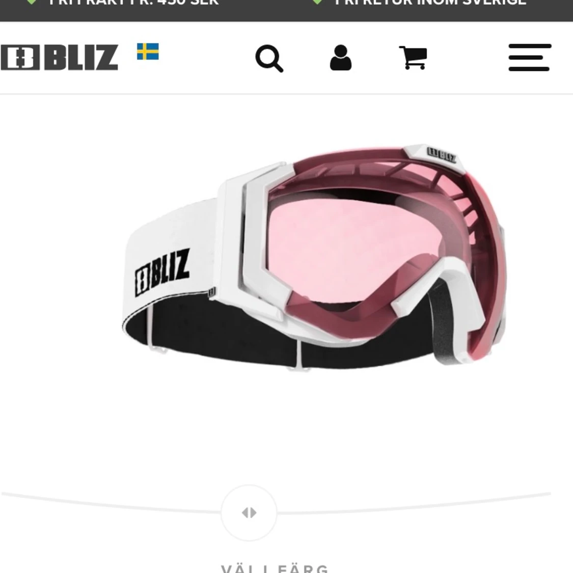 Skidglasögon dam - 90