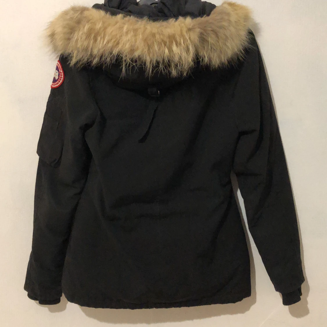 Canada Goose - 91