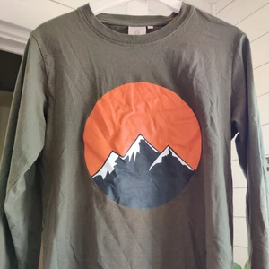 Mörkgrön tröja - en supercool mörkgrön tröja köpt secondhand. färgen syns inte så bra men den är en jättefin skogsgrön färg, väldigt populärt just nu. står S men den sitter lite oversize på mig som är S vanligtvis. pris 75 kr plus frakt! 💚