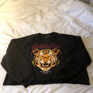 Pesolate sweatshirt. H&M. - Jag fick den i födelsedags present och den passade inte riktigt mig. Har bara använt den några få gånger. Så vill gärna sälja den. Den är varm och mysig. Storlek L men är lite som en magtröja. 