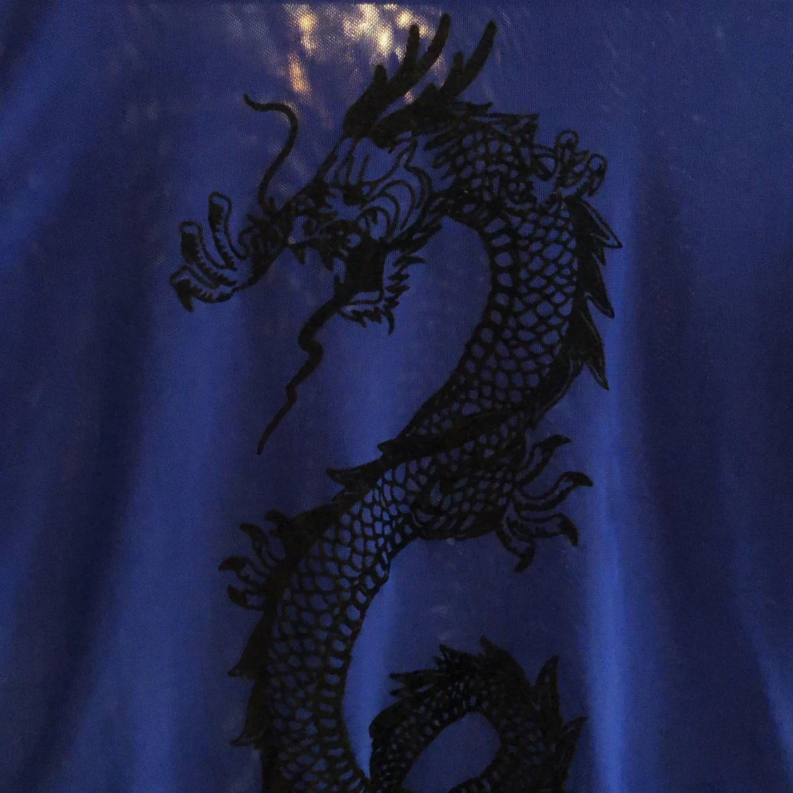 Blå mesh tröja m drake - 91
