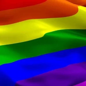 Gigantisk Pride flagga - FLAGGA SÖKER HEM!! Hej! Jag säljer min gigantiska Pride flagga då jag inte har plats med den i mitt rum. Den är köpt under pride i Göteborg och har bara använt den en gång 150x90, det ingår ej en stolpe till flaggan men den går att hänga upp. Går att diskutera priset 