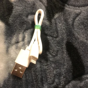 Laddare till iPhone  - Den är kort så man kan ha den i Powerbank