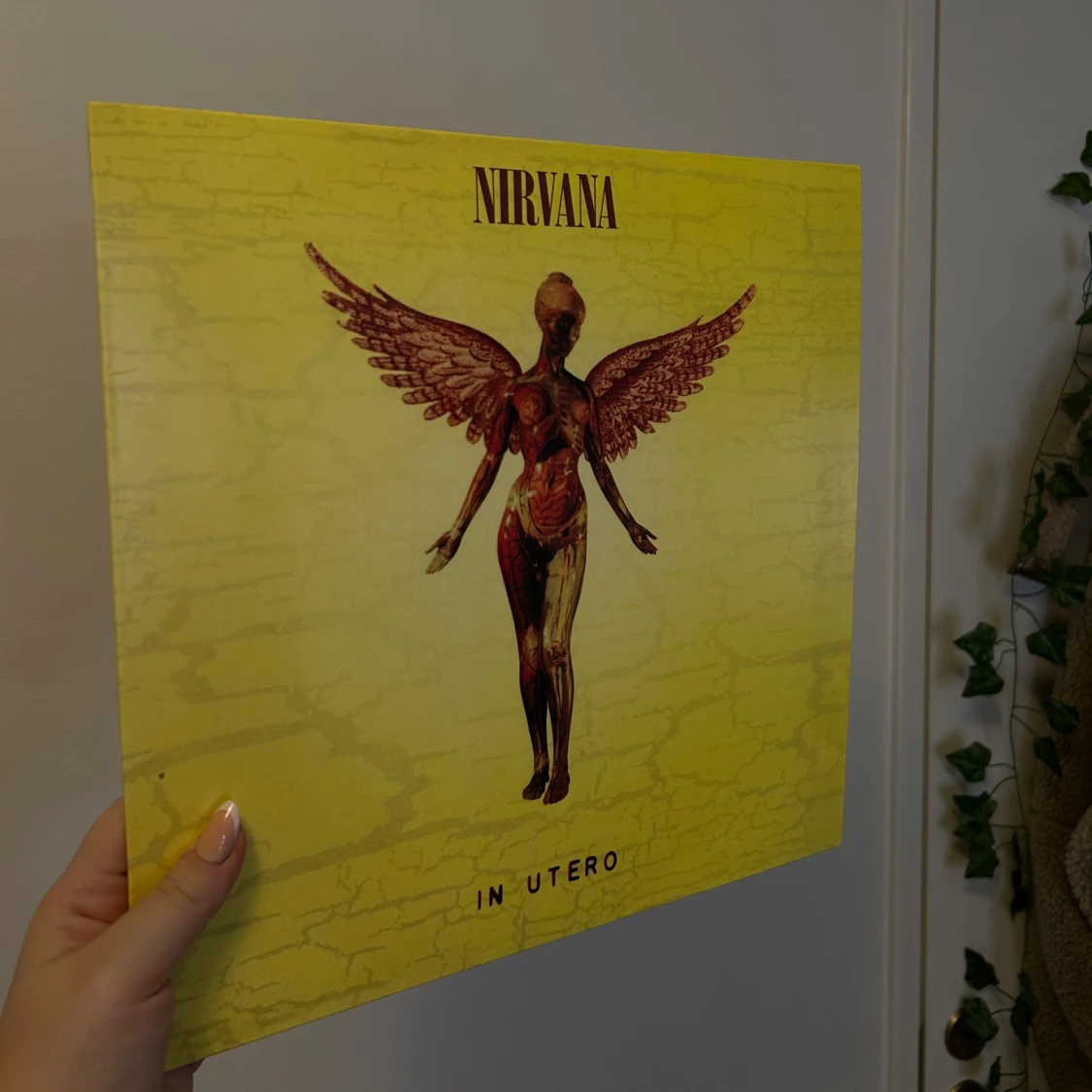 Nirvana vinyl ’In Utero’