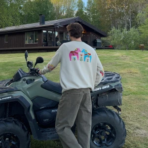 Cloeys Stockholm city sweater - Limited edition - slut i sortiment. Pris diskuteras vid snabb affär