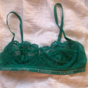 Grön spets-bh från Lounge - Säljer en snygg grön bh från Lounge med spetsdetaljer och justerbara axelband. Bh:n har elastiskt band med Lounge-logga och är genombruten i spetsmaterial. Perfekt för dig som gillar bekväma och stilrena underkläder.