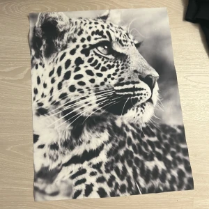 Svartvit tygposter med leopardmotiv - Säljer en svartvit tygposter med ett detaljerat motiv av en leopard. Postern är rektangulär och tryckt på ett tunt tygmaterial, vilket ger en mjuk och flexibel känsla. Perfekt som väggdekoration för djurälskare eller som inredningsdetalj.