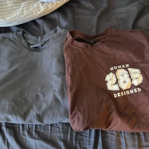 Två t shirts! - Säljer en grå t-shirt från Sthlm Hype med diskret logga på bröstet och stor svart grafisk print på ryggen. Klassisk rund hals och korta ärmar. Perfekt för en avslappnad stil. Säljer även en brun tröja som är ungelfär lika dan, säljs tillsammans för 100kr och 60kr enskilt!