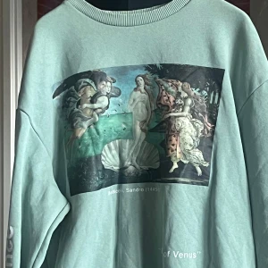 Mintgrön sweatshirt med konsttryck - Säljer en mintgrön sweatshirt med tryck av Botticellis 'Venus födelse' på bröstet. Tröjan har rund halsringning och avslappnad passform. 