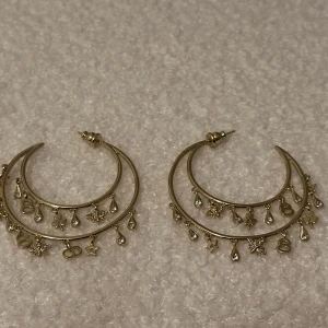 Guldörhängen från Dior - Snygga guldörhängen i halvmåneform med små hängande detaljer som stjärnor och droppar. Perfekta för att ge en extra touch till din outfit.