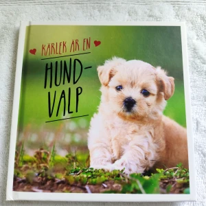 Kärlek är en hundvalp - En charmig bok fylld med söta bilder och roliga texter om hundvalpar. Perfekt för dig som älskar djur och vill ha något gulligt att bläddra i. Låt dig smittas av valparnas energi och upptäck varför de är de bästa vännerna man kan ha!