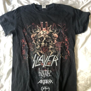 Svart Slayer World Tour 2018 t-shirt - Svart t-shirt från Gildan med Slayer World Tour 2018 tryck fram och bak. Klassisk rund hals och korta ärmar. Tillverkad i mjuk bomull.