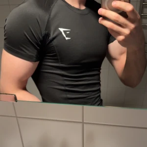 Gymshark Armour OG - Säljer en svart tight t-shirt från Gymshark med korta ärmar och sportig passform. Materialet är stretchigt och andas, perfekt för gymmet. Diskret Gymshark-logga i vitt på bröstet. Sitter riktigt snyggt och framhäver formen.