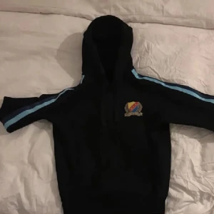 SÖKER! - Tjena säker denna hoodie i m elle l