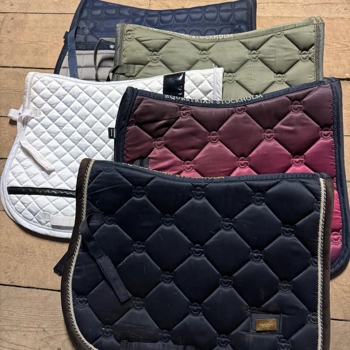 Equestrian Stockholm Schabrak - 1