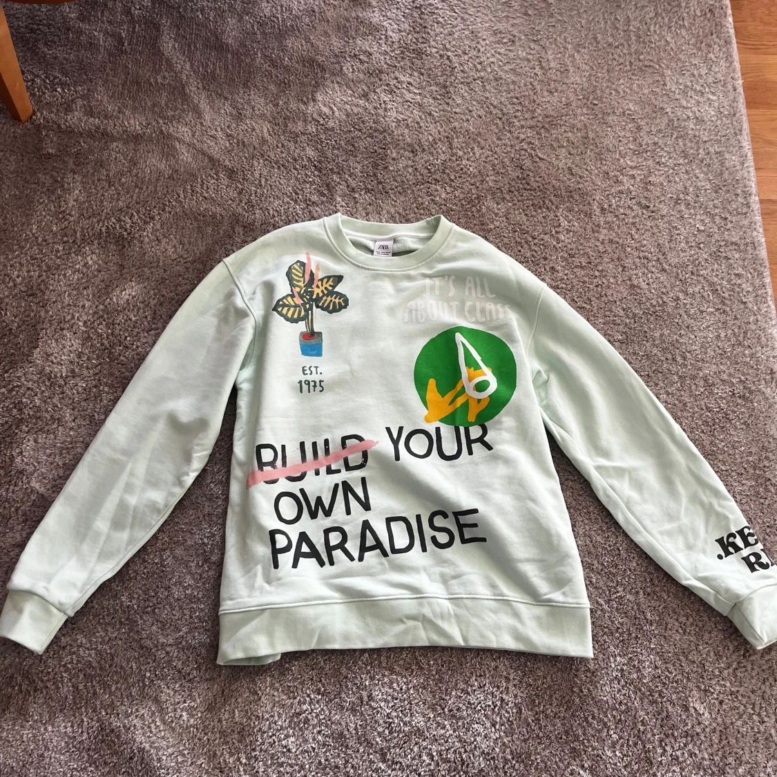 Ljusgrön sweatshirt från Zara med tryck