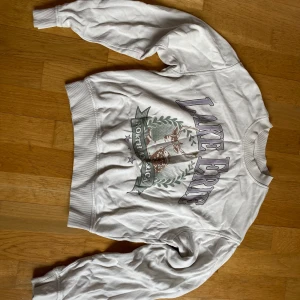 Vit sweatshirt med tryck från H&M - Säljer en vit sweatshirt från H&M med stort tryck 'Lake Erie' och grafiskt motiv framtill. Tröjan har rund hals, långa ärmar och ribbade muddar vid ärmslut och nederkant. Mjuk insida för extra komfort.