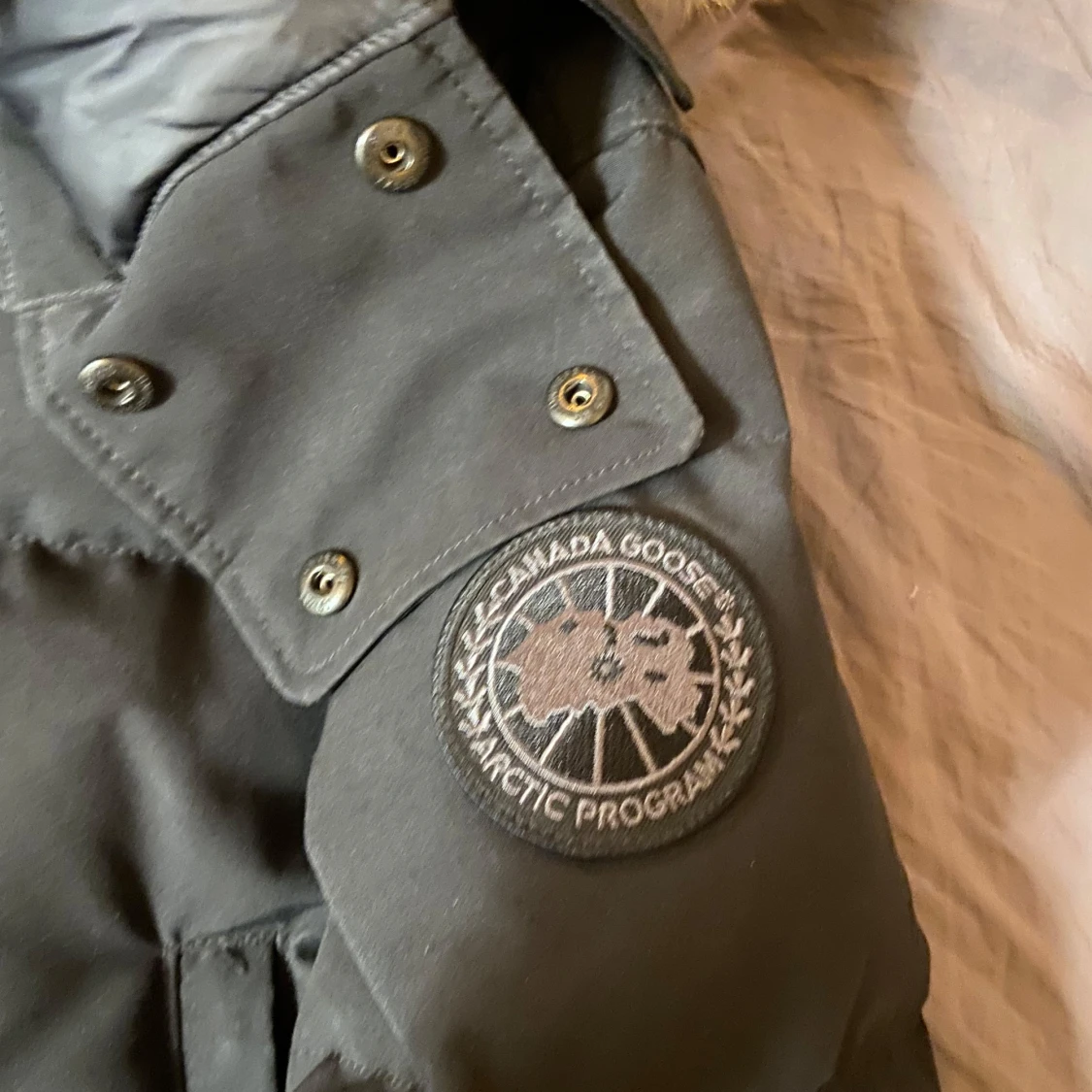 Canada goose Wyndham black label  - 2