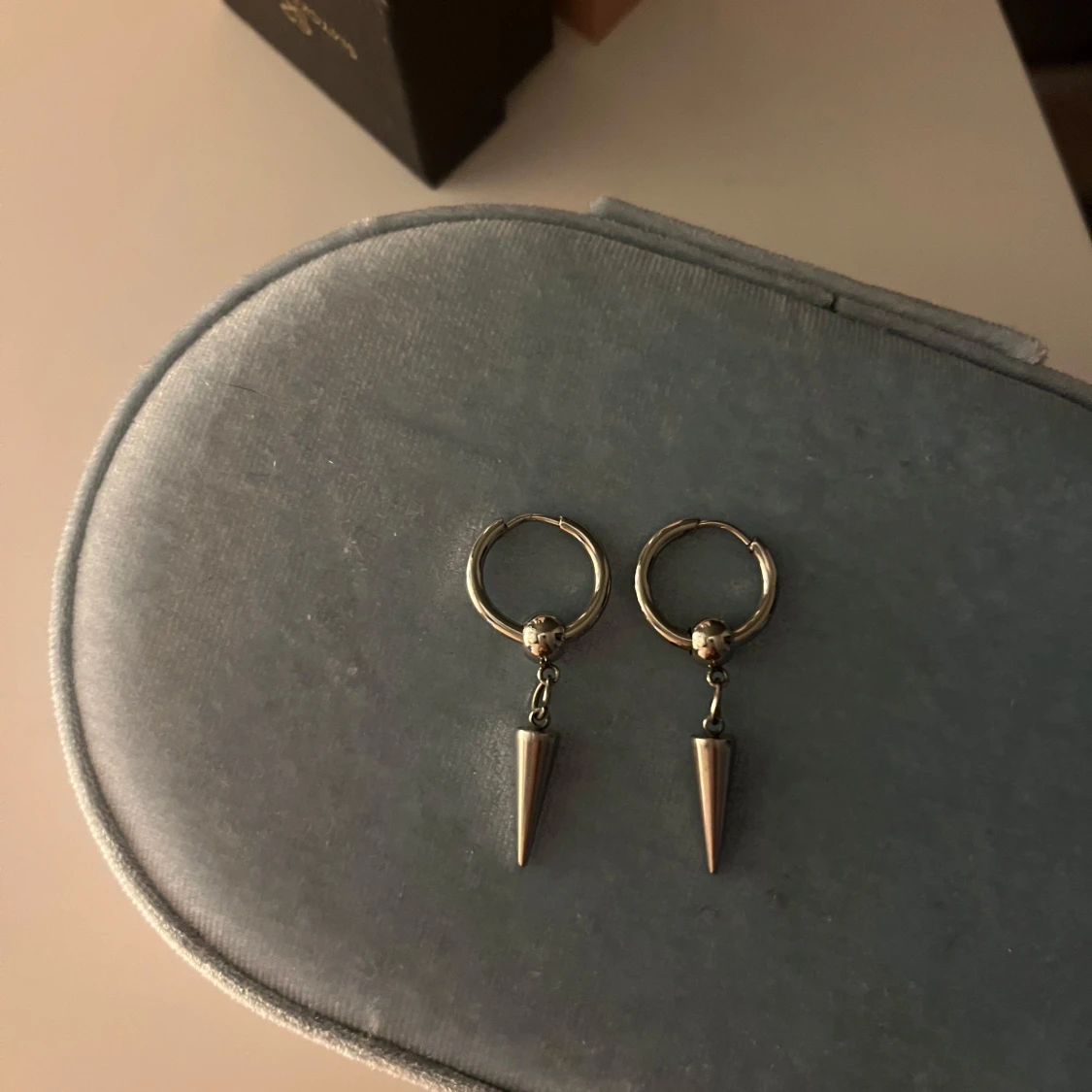 Silvirga spikörhängen  - 2