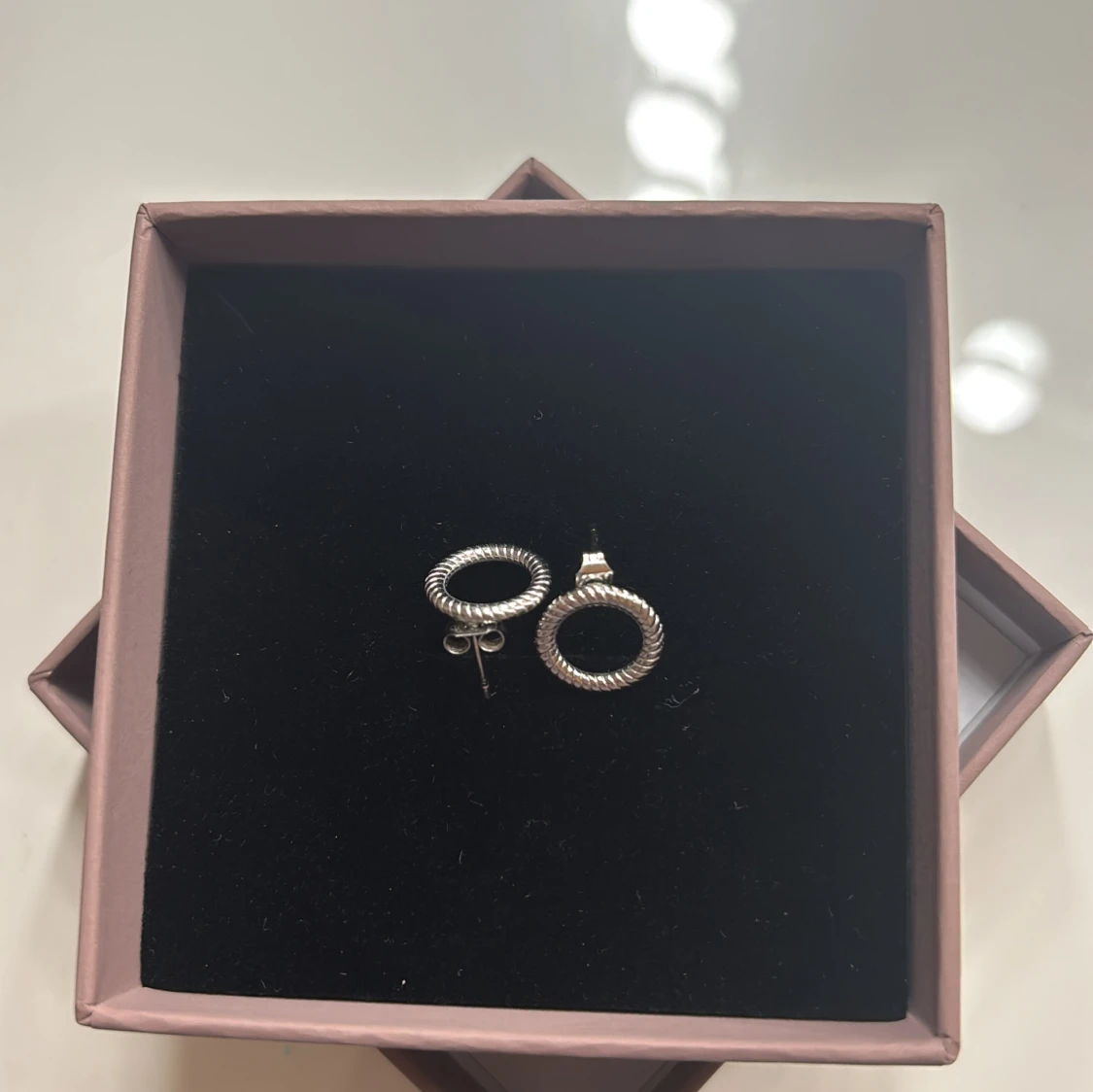Silvriga cirkelörhängen i tvinnad design från Edblad  - 1