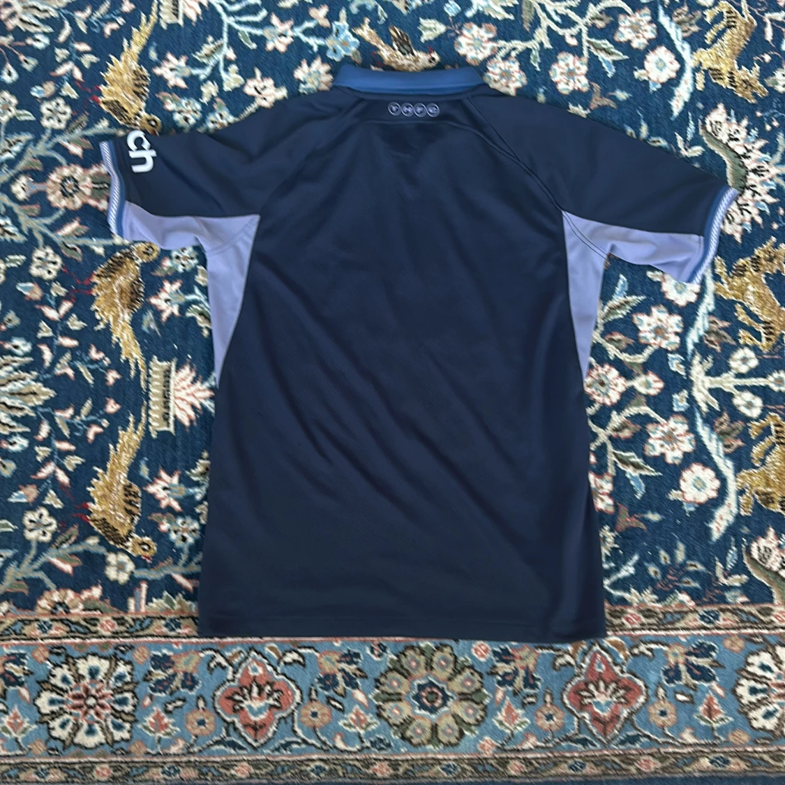 Tottenham Nike fotbollströja  - 1