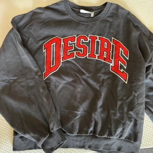 Grå sweatshirt Weekday - Grå sweatshirt från Weekday med stor röd text 'DESIRE' framtill. Tröjan har rund hals, långa ärmar och ribbade muddar.