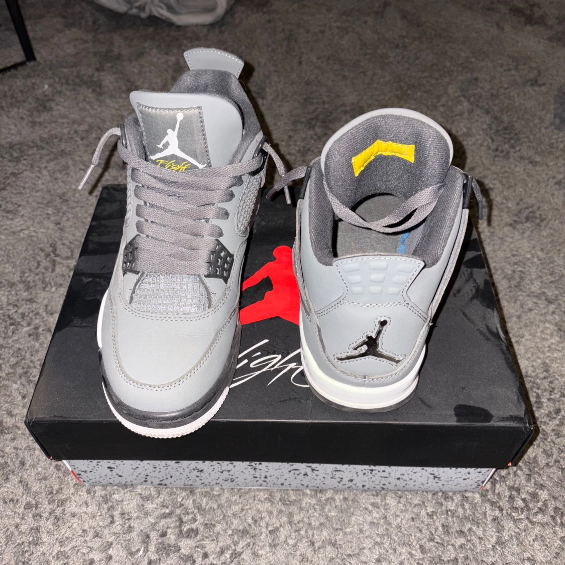 Cool grey Jordan 4