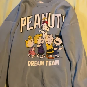 Blå Peanuts sweatshirt från H&M - Superfin ljusblå sweatshirt från H&M med stort Peanuts-tryck och texten 'Dream Team' framtill. Tröjan har rund hals, långa ärmar och är gjord i mjuk bomullsmix. Perfekt för dig som älskar Snoopy och gänget!