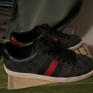 Gucci ace skor - OG medföljer