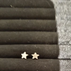 Stärnörhängen  - Skärnörhängen för 20 kr 