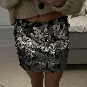 Glitter kjol  - Säljer en jätte cool paljett kjol från zara till nyår kanske?Jag har endast använt den en gång men några paljetter har lossnat där av priset, nypris 399