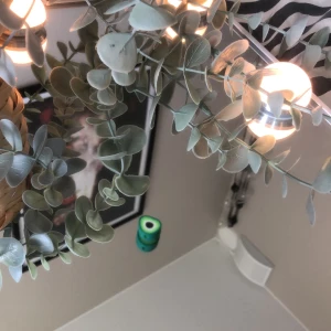 Mini avacado🫶🏻 - Den e så gullig men har bara en🫶🏻😭