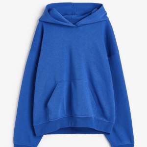 Säljer liknande blå hoodie från H&M, bara att min har snören också. Oversized. Knappt använd och fint skick. Kan sälja för 100kr+frakt vid snabba affär. Annars 150kr+frakt
