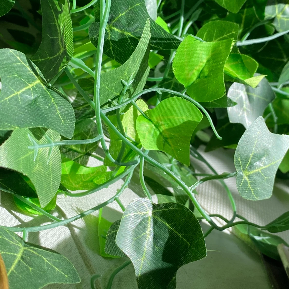 slingerväxter i plast - 91