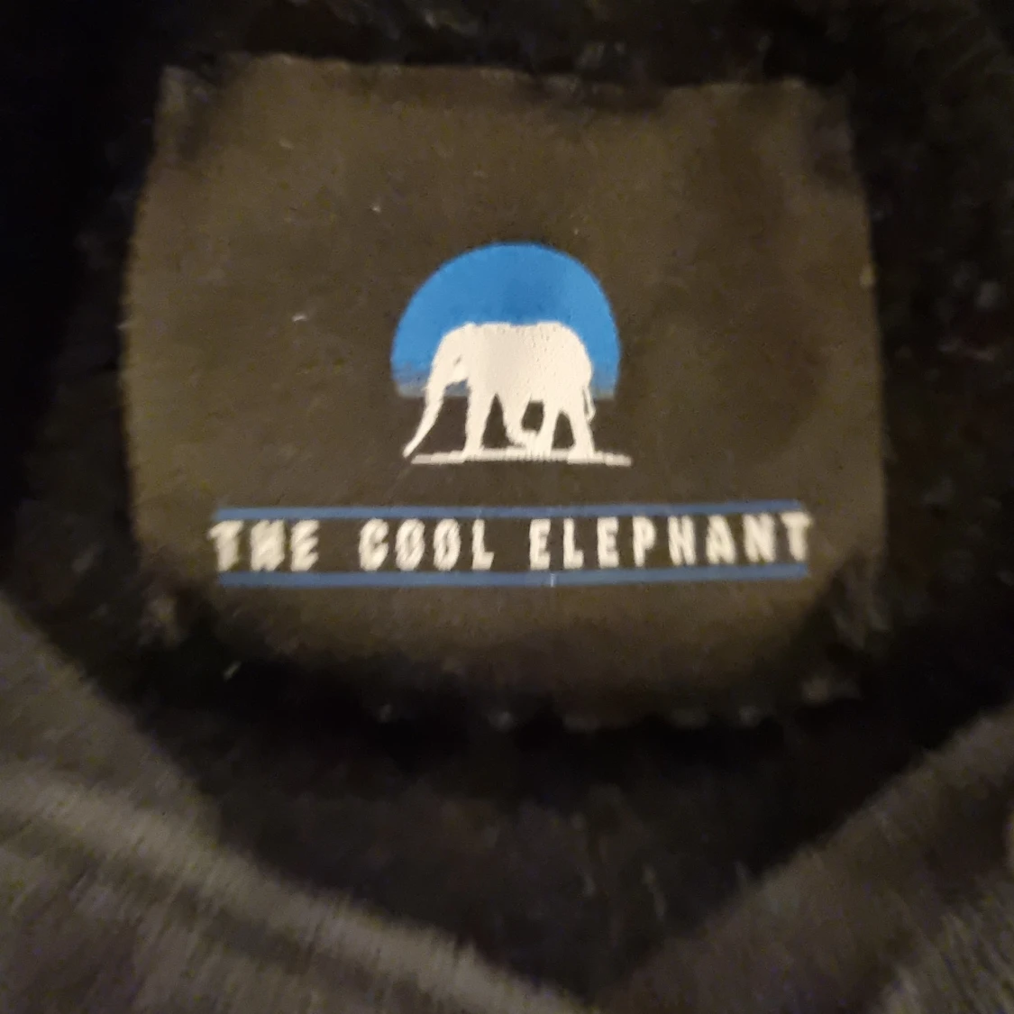 The cool Elephant - 90