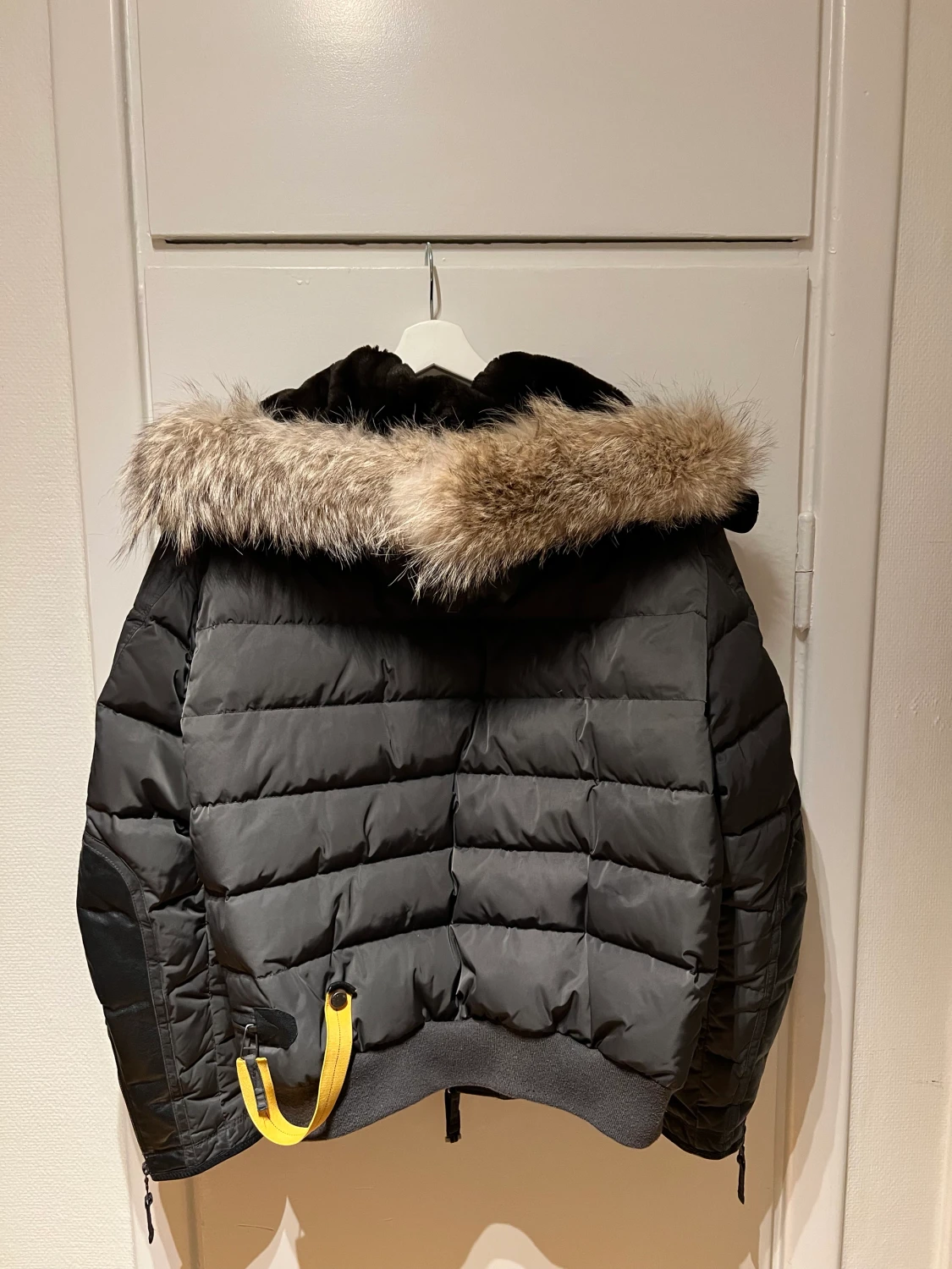 Parajumpers grizzly special edition  - 90