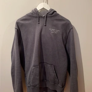 Axel Arigato hoddie Stl S - Axel Arigato hoddie i nyskick Köpt på Axel arigatos officiella hemsida för 1800kr Färg: Uttvättad svart Kvitto osv fås med.