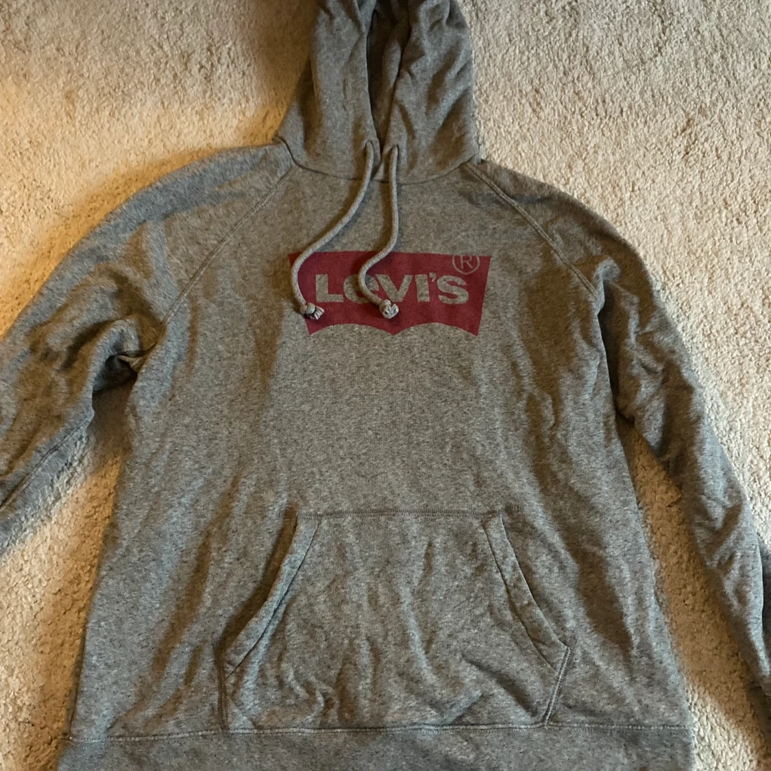 Levis hoddie