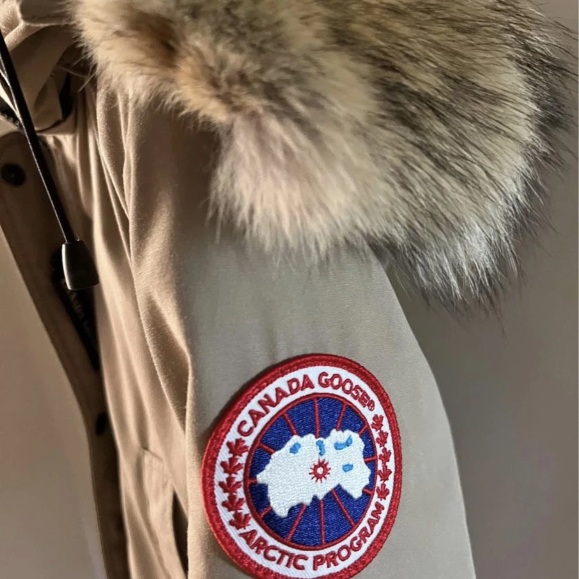 Canda Goose - 91