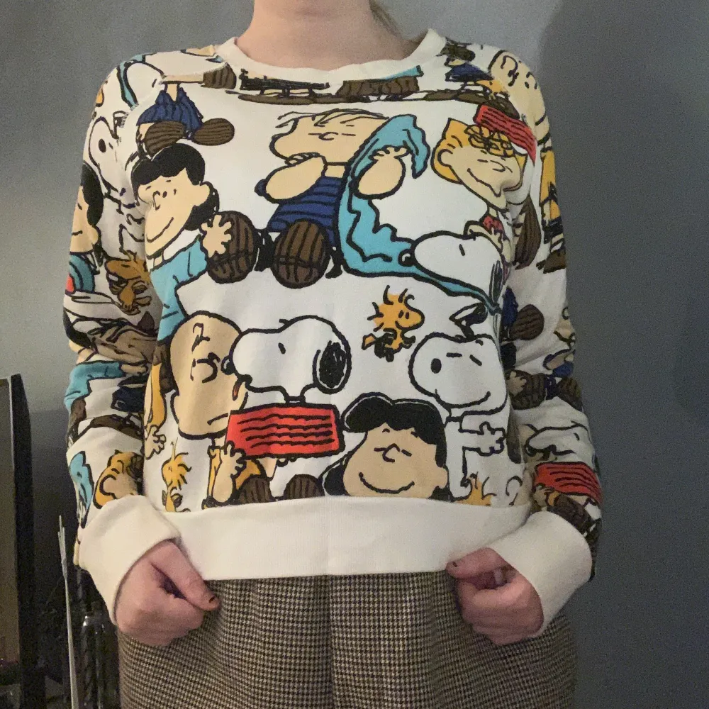official peanuts merch long sleeve top/sweatshirt. size M but fits more like a S in my opinion. in great condition, i’ve only worn it two times because i prefer oversized!  features charlie and sally brown, snoopy, woodstock, and linus and lucy van pelt ❤️. Hoodies.
