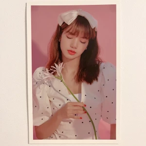 Lisa postcard - 50 kr + 25 kr frakt om ovikt, annars 15 kr